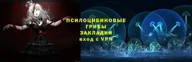 Псилоцибиновые грибы Psilocybine cubensis  дарк нет какой сайт  Железноводск 